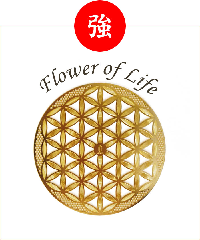 エナジーカード フラワーオブライフ(強)