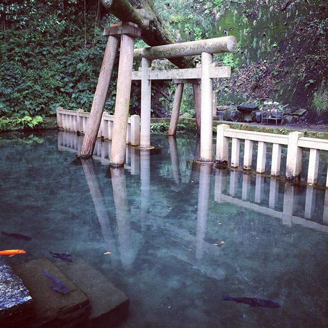 盛運御水取り 鹿島神宮